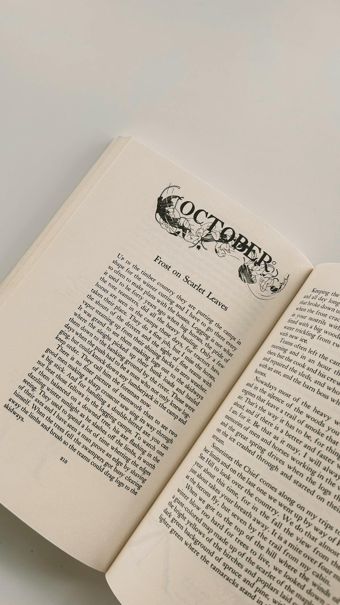 An open book displaying an ornate October chapter title on a light background.