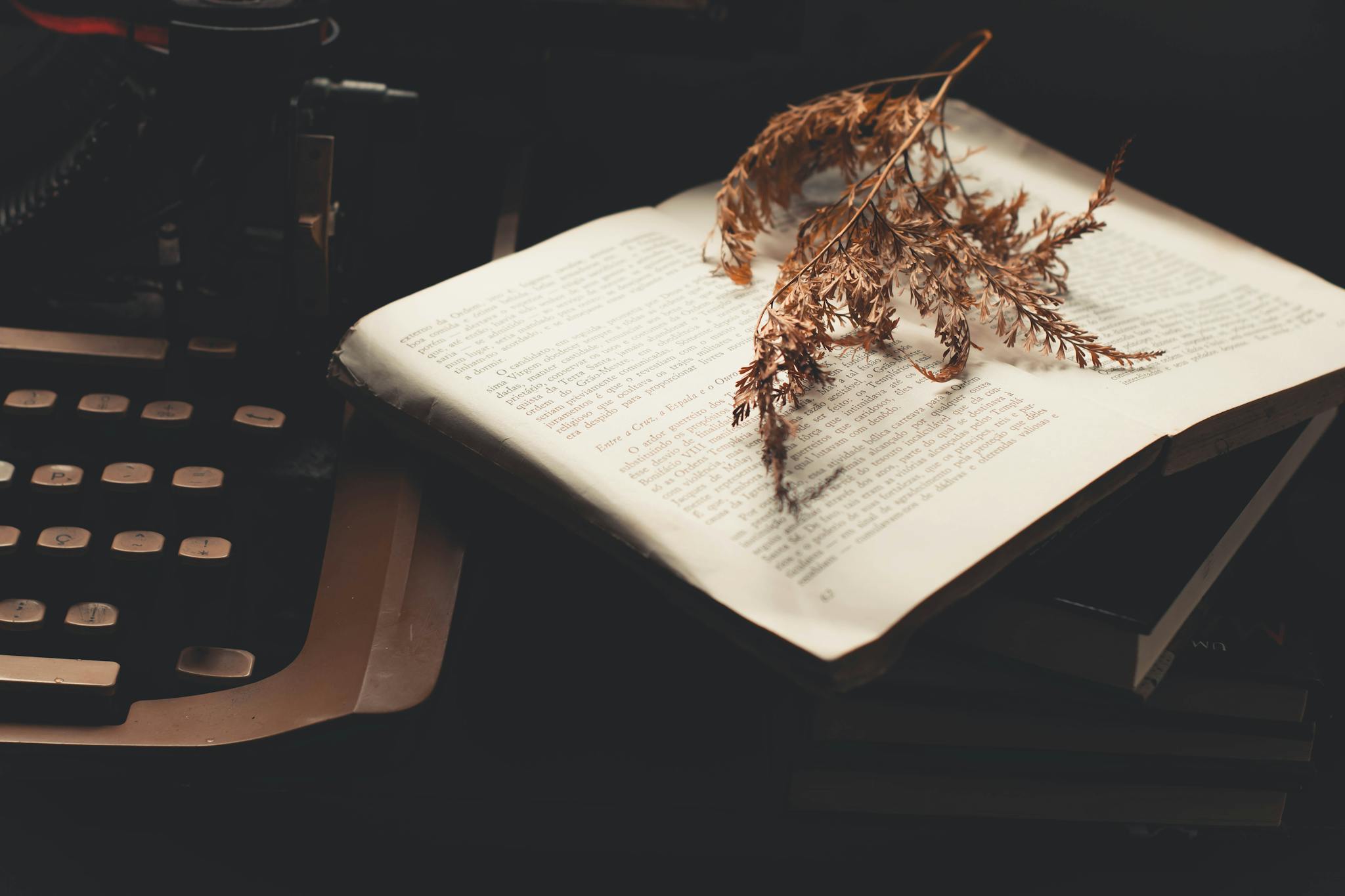 An open book with dry leaves on a vintage typewriter creates a nostalgic and artistic scene.
